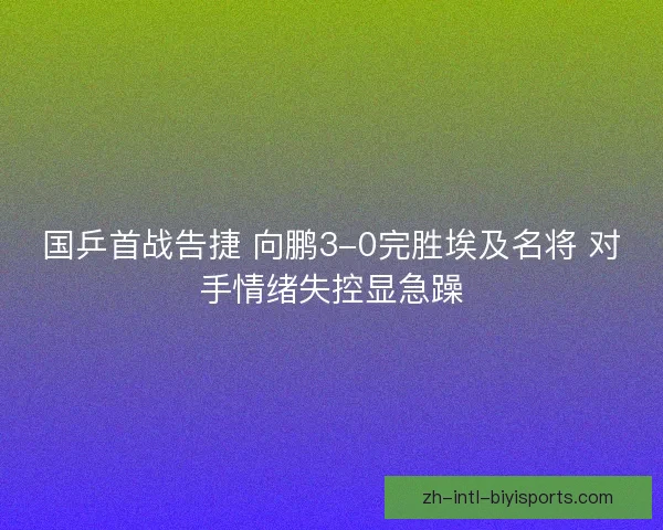 国乒首战告捷 向鹏3-0完胜埃及名将 对手情绪失控显急躁 国乒首战告捷 向鹏3-0完胜埃及名将 对手情绪失控显急躁
